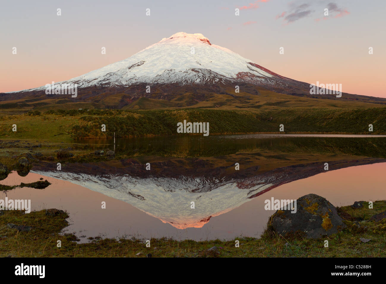 Il vulcano Cotopaxi riflettendo in Santo Domingo Lago Foto Stock