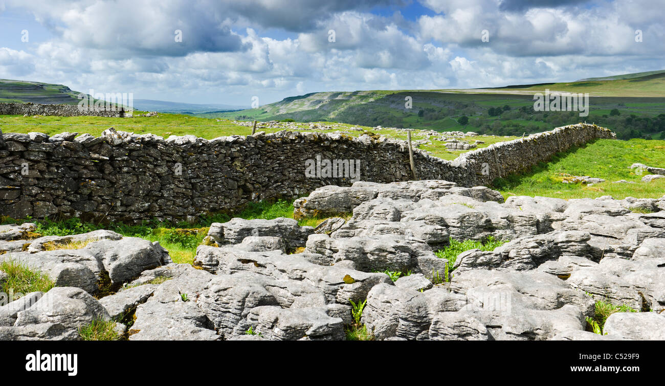 Pavimentazione in calcare a cappella-le-Dale, Yorkshire Dales, UK. Foto Stock