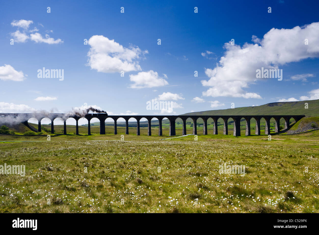 Treno a vapore sul viadotto Ribblehead, North Yorkshire, Regno Unito Foto Stock