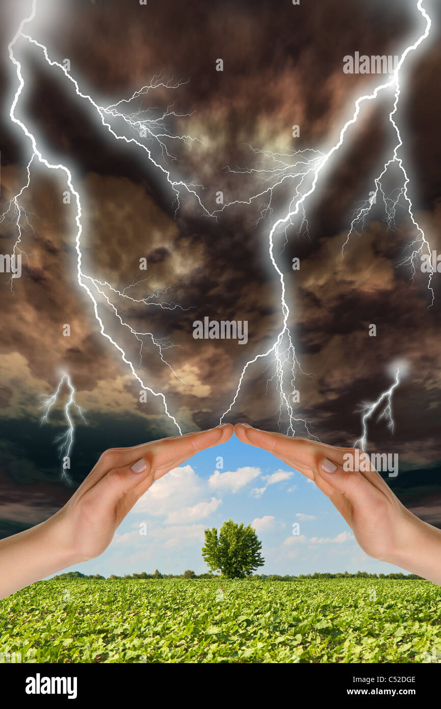 Due mani di preservare un albero verde contro un temporale. Concetto di conservazione della natura Foto Stock