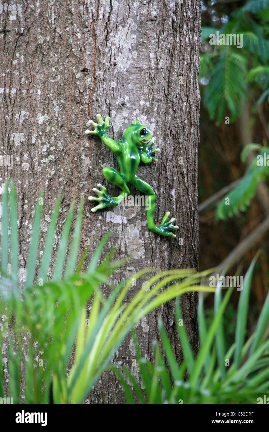 Grande rana verde HANGINGON OAK di corteccia di albero con foglie verdi in primo piano e sullo sfondo Foto Stock