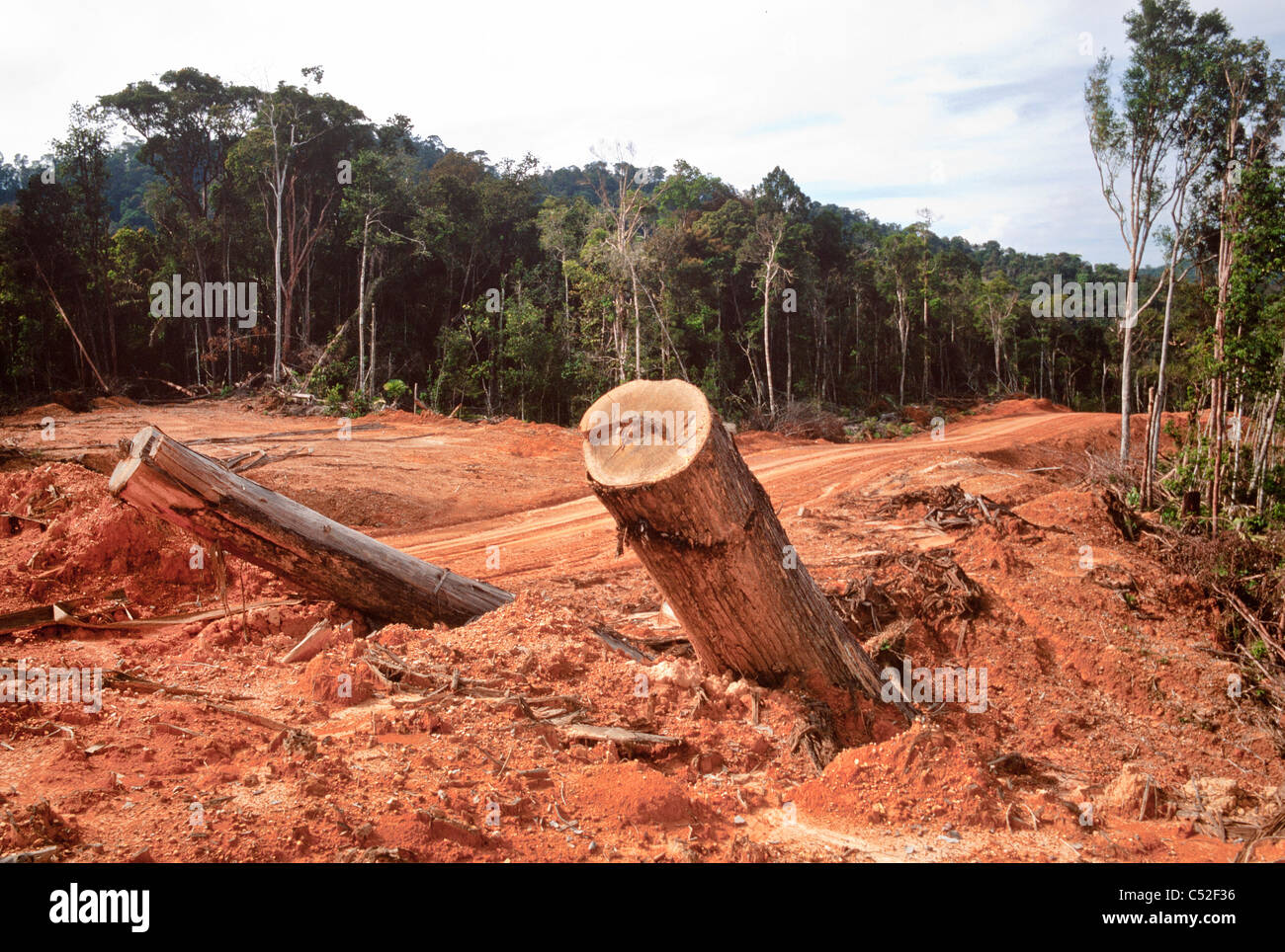 Accesso road vicino al confine Mulu, Est Malesia, Borneo Foto Stock