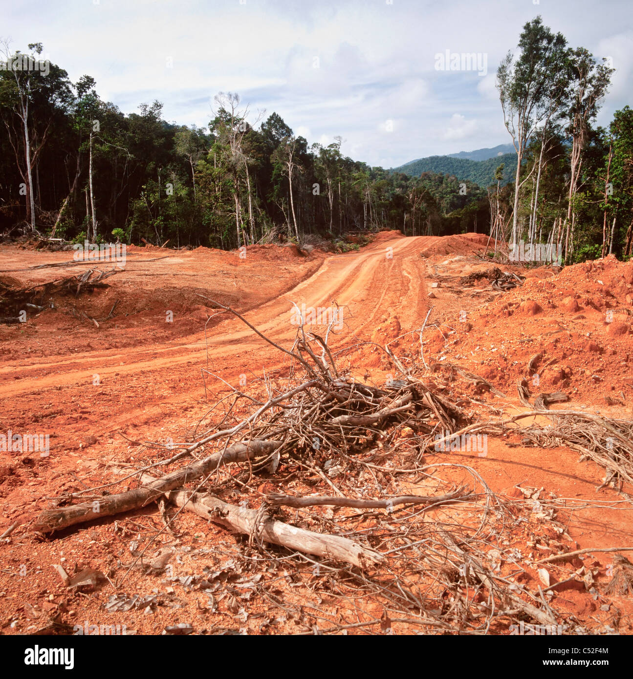 Accesso road vicino al confine Mulu, Est Malesia, Borneo Foto Stock
