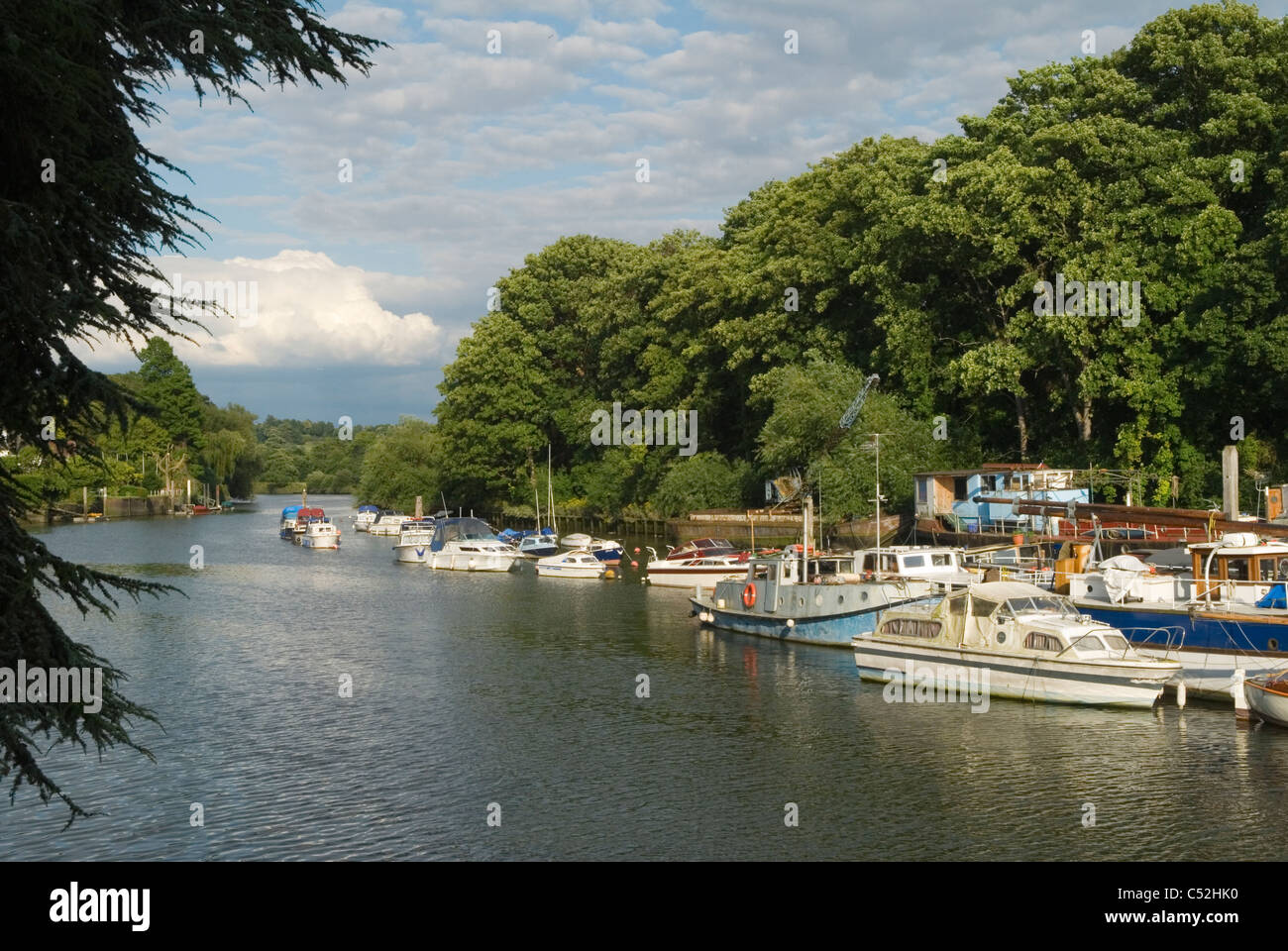 Il fiume Tamigi a Twickenham Middlesex. Eel Pie island boat yard. Vista guardando giù verso il fiume Richmond e Londra. HOMER SYKES Foto Stock