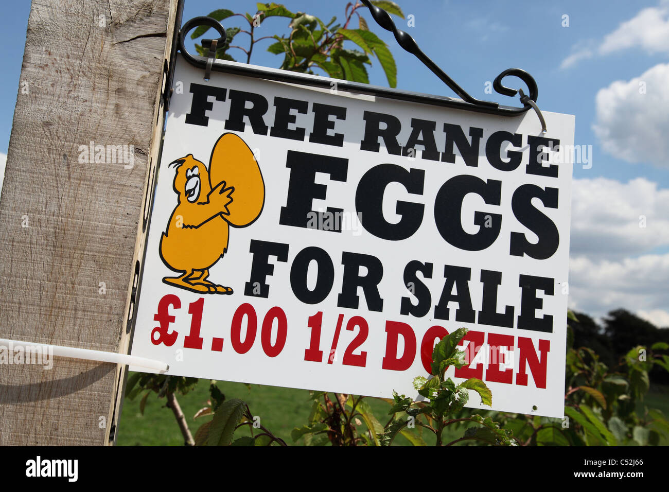 Free range uova per la vendita in una fattoria nel Derbyshire, England, Regno Unito Foto Stock