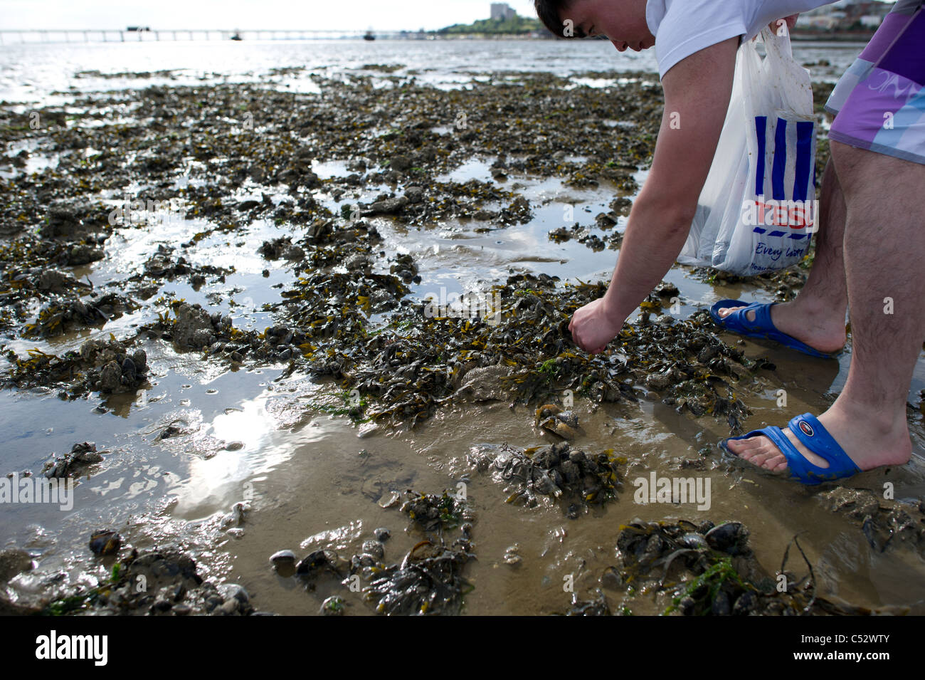 Un maschio cinese sul foreshore a bassa marea cockle picking. Foto Stock