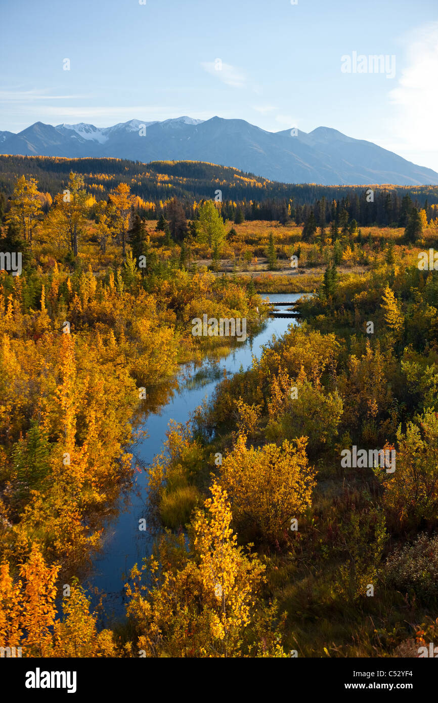 Autunno scenic come visto da milioni di dollari di Ponte Campeggio, Yukon Territory, Canada Foto Stock