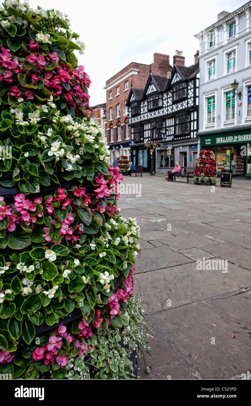 Shrewsbury town center mostra piacevole atmosfera floreale in piazza. Foto Stock