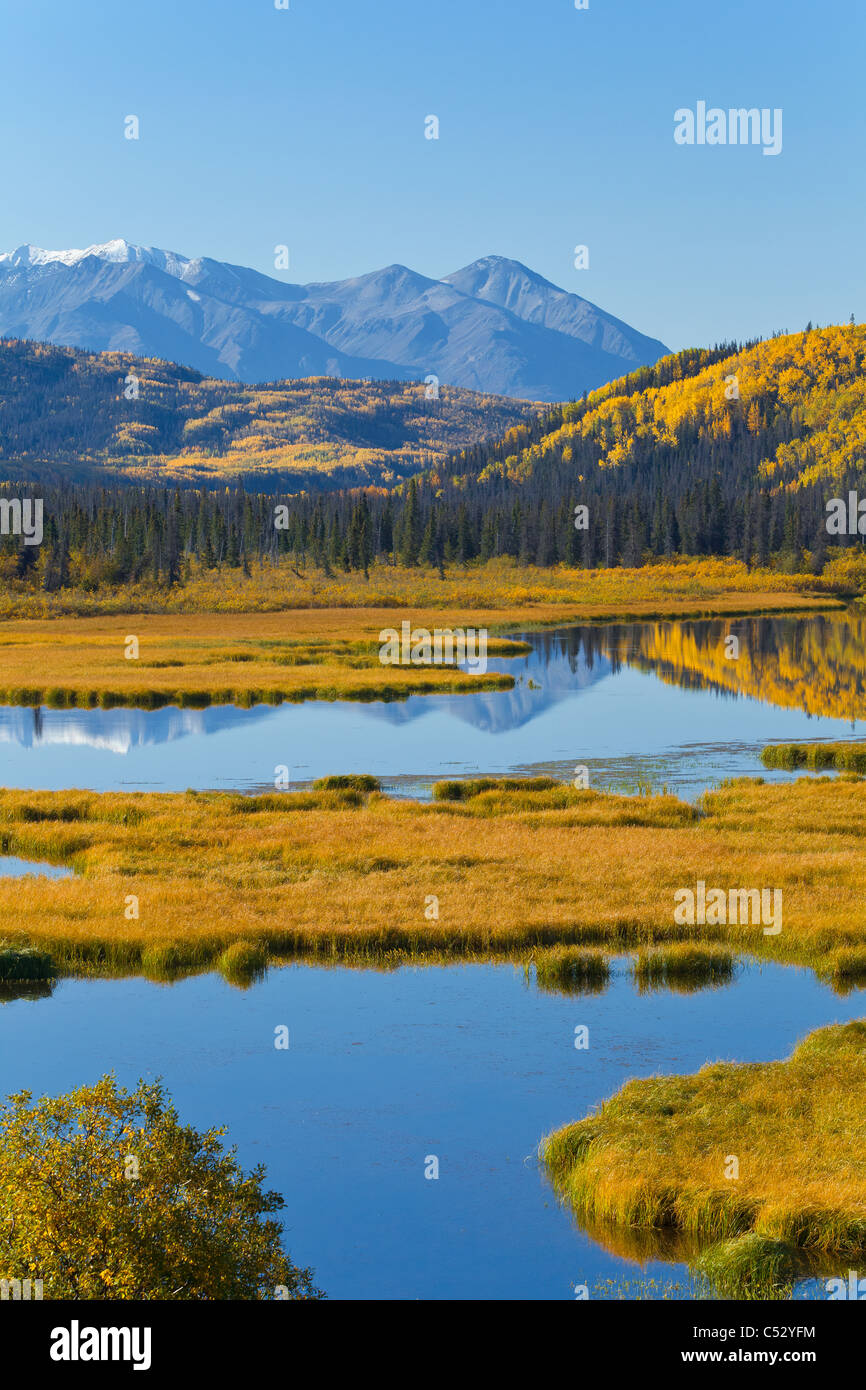 Vista panoramica delle zone umide Autunno colori lungo la Alaska Highway tra Haines e Haines Junction, Yukon Territory, Canada Foto Stock