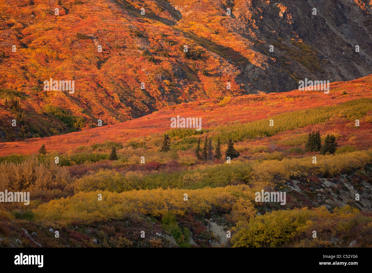 Vista panoramica della caduta di un paesaggio colorato tra Haines e Haines Junction, Yukon Territory, Canada Foto Stock