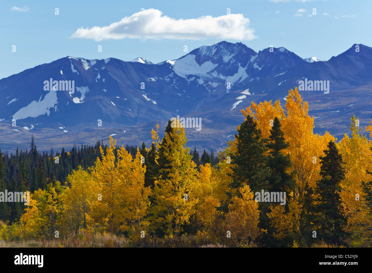 Vista panoramica delle montagne e colorato Aspen e salici lungo l Autostrada Alaska, Yukon Territory, Canada Foto Stock
