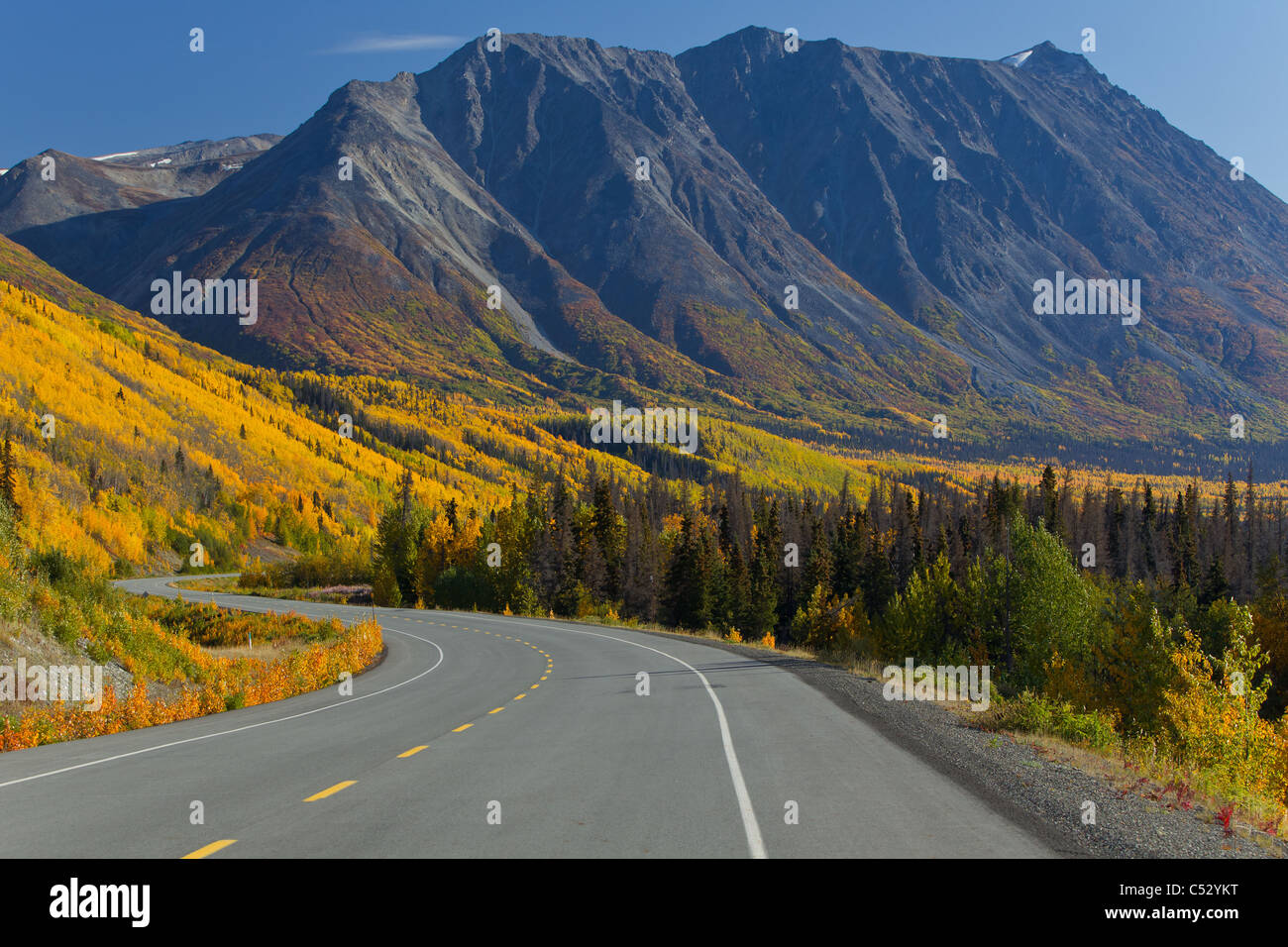 Vista panoramica dell'Alaska Highway tra Haines, Alaska e Haines Junction, Yukon Territory, Canada, Autunno Foto Stock