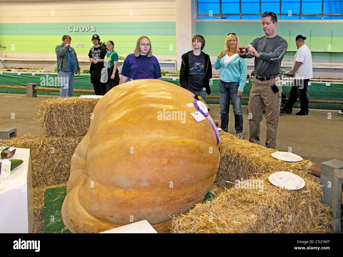 Vincente la zucca gigante del peso di 1101 libbre in Alaska State Fair in Palmer, Matanuska- Susitna Valley, Alaska Foto Stock