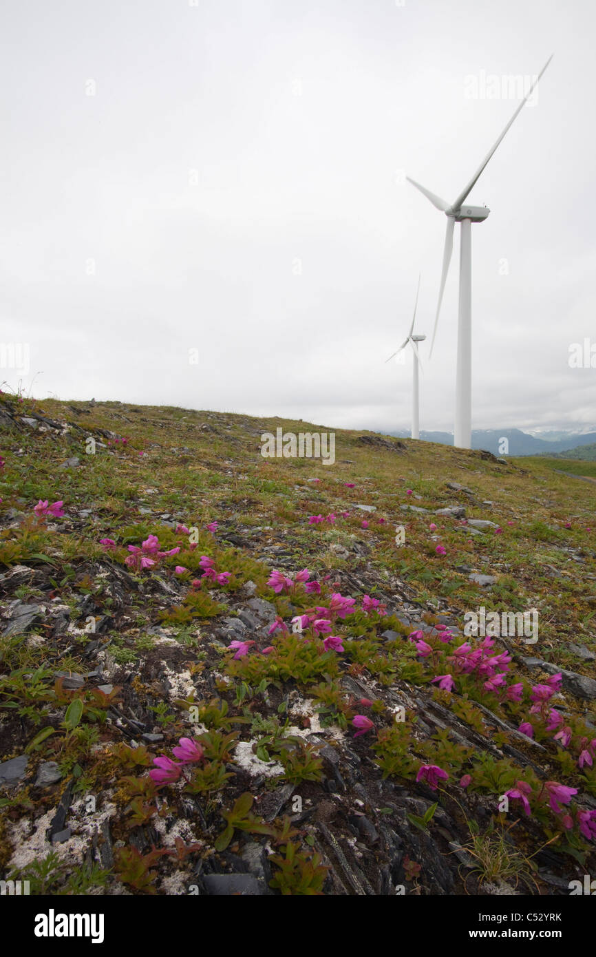 Pilastro montagna progetto Wind Turbine eoliche stand sul pilastro montagna su un giorno nuvoloso, isola di Kodiak, Southwest Alaska, estate Foto Stock