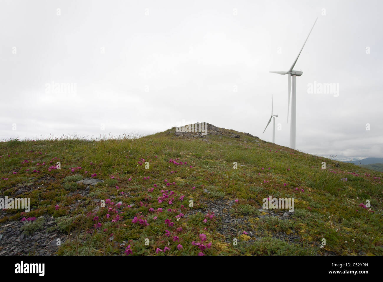 Pilastro montagna progetto Wind Turbine eoliche stand sul pilastro montagna su un giorno nuvoloso, isola di Kodiak, Southwest Alaska, estate Foto Stock