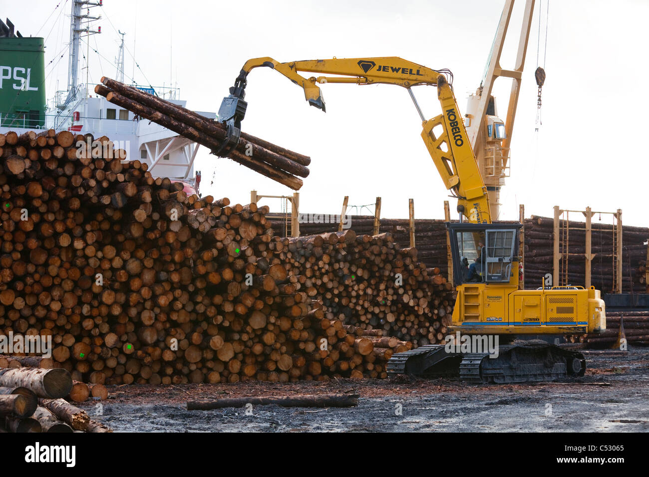 Nave di registro essendo caricato con Sitka Spruce da Chiniak e Sequel punto in gioco nel dock per donna Bay, isola di Kodiak, Alaska Foto Stock