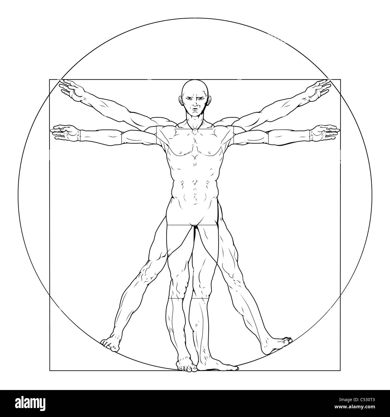 Illustrazione di base su Leonardo da Vinci's classic uomo vitruviano Foto Stock