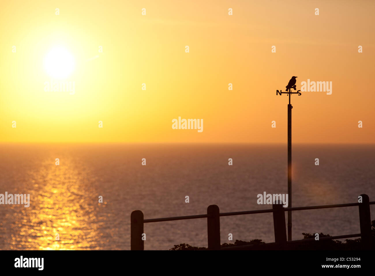 Stagliano uccello in un weathervane contro arancione tramonto sul mare Foto Stock