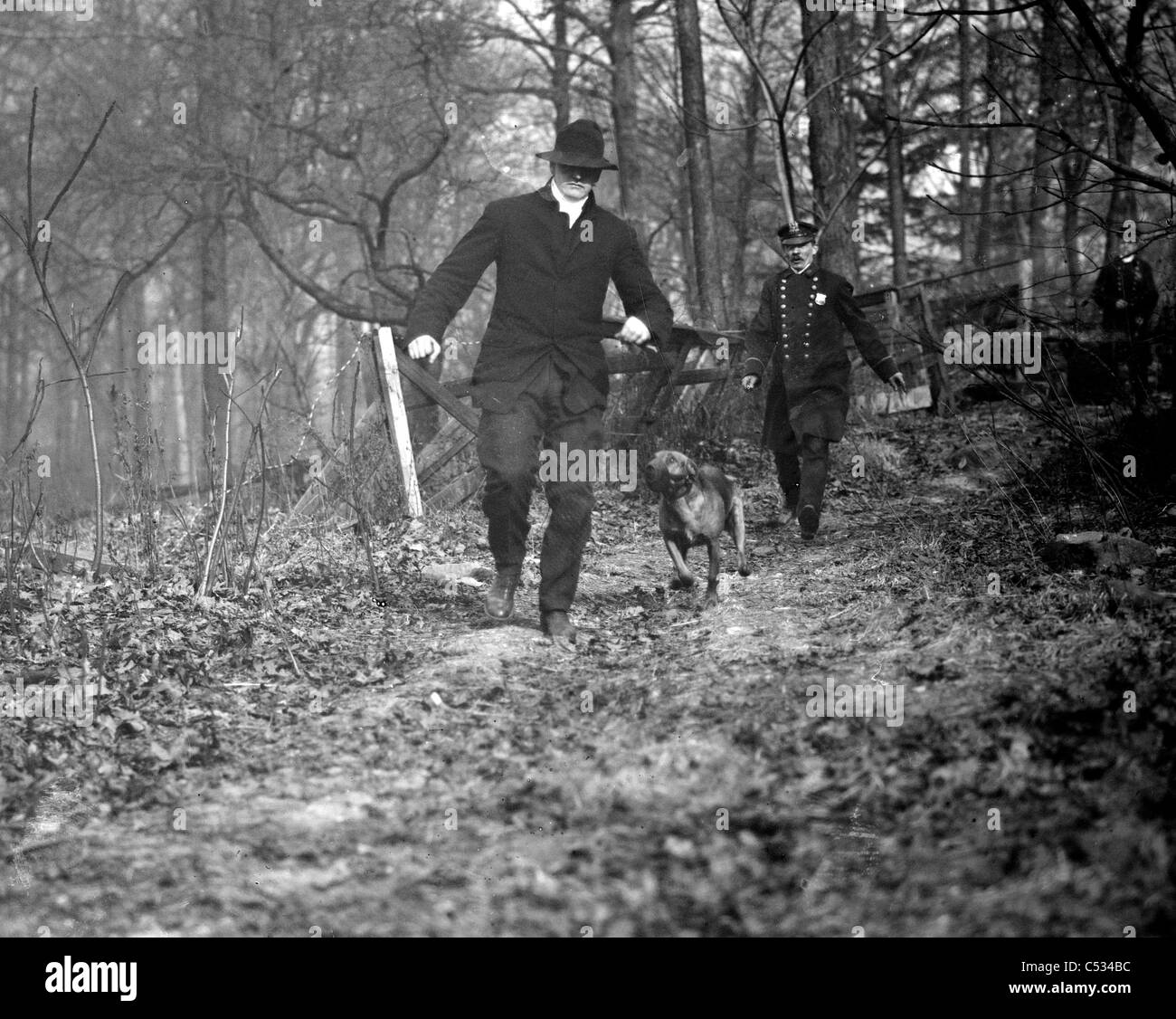 Poliziotto, cane di polizia a caccia di uomo, New York 1912 Foto Stock