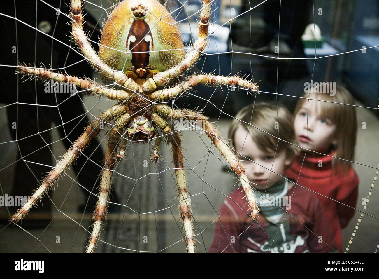 I due ragazzi cercando stupiti della grande spider. Museo di Storia Naturale di Berlino. Foto Stock