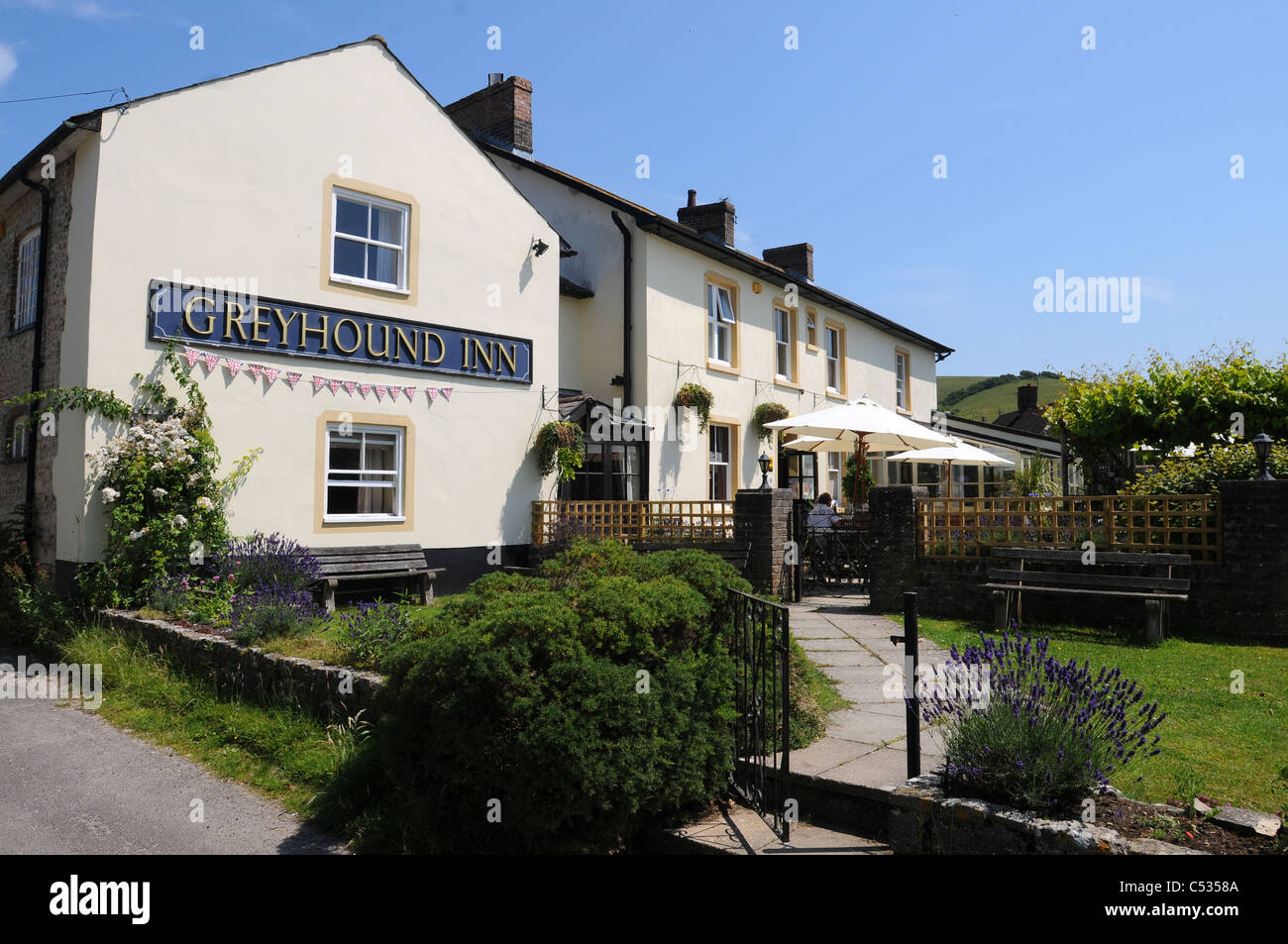 TV Fiona Phillips e suo marito Martin Frizell sono i nuovi proprietari di The Greyhound Inn, Sydling St Nicholas, Dorset Foto Stock