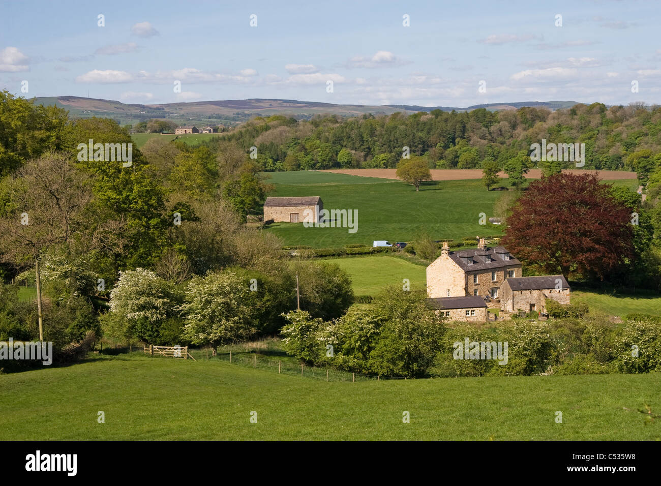 Campagna vicino Hurst Green con mori oltre, Ribble Valley, foresta di Bowland, Lancashire, Inghilterra, Regno Unito Foto Stock