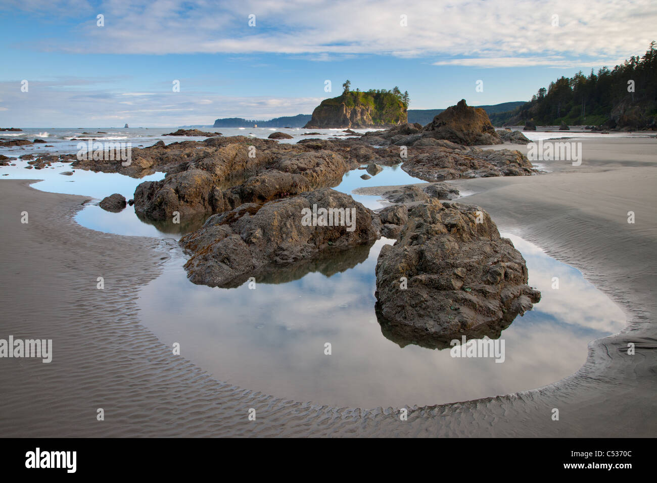 Ruby Beach, Parco Nazionale di Olympic, Washington Foto Stock