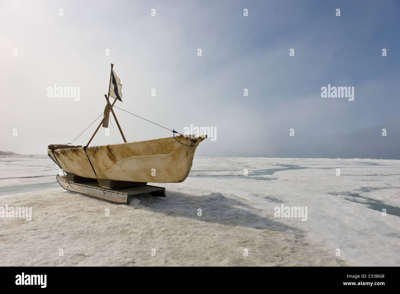 Inupiaq eschimese barca della pelle fatta da barbuto pelle tenuta in appoggio sul ghiaccio riva del mare Chukchi off shore di Barrow, Alaska Foto Stock