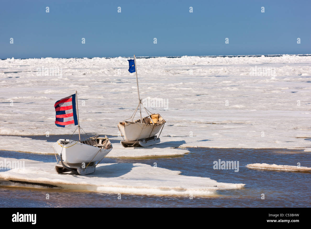 Due Inupiaq eschimese pelle barche (Umiaqs)sul ghiaccio bandiere hanno sollevato come parte della celebrazione Apugauti, Chukchi Sea, Barrow, Alaska Foto Stock