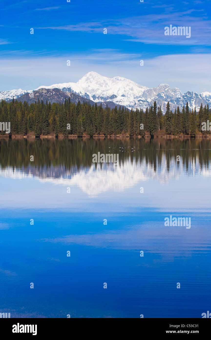 Vista panoramica del lato sud di Mt. McKinley e Alaska Range con Byers lago in primo piano, centromeridionale Alaska, molla Foto Stock