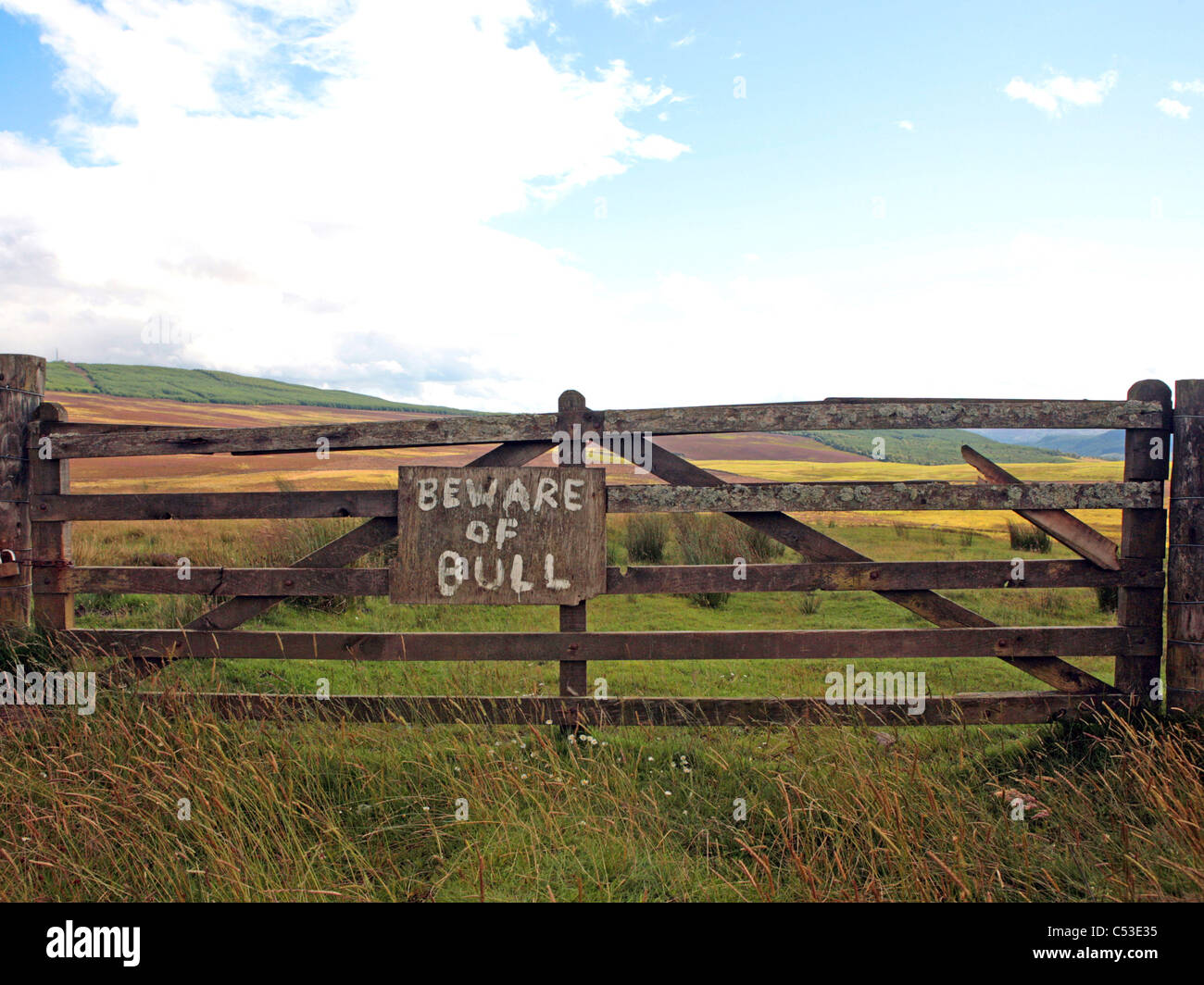 Attenzione di Bull segno. Foto Stock