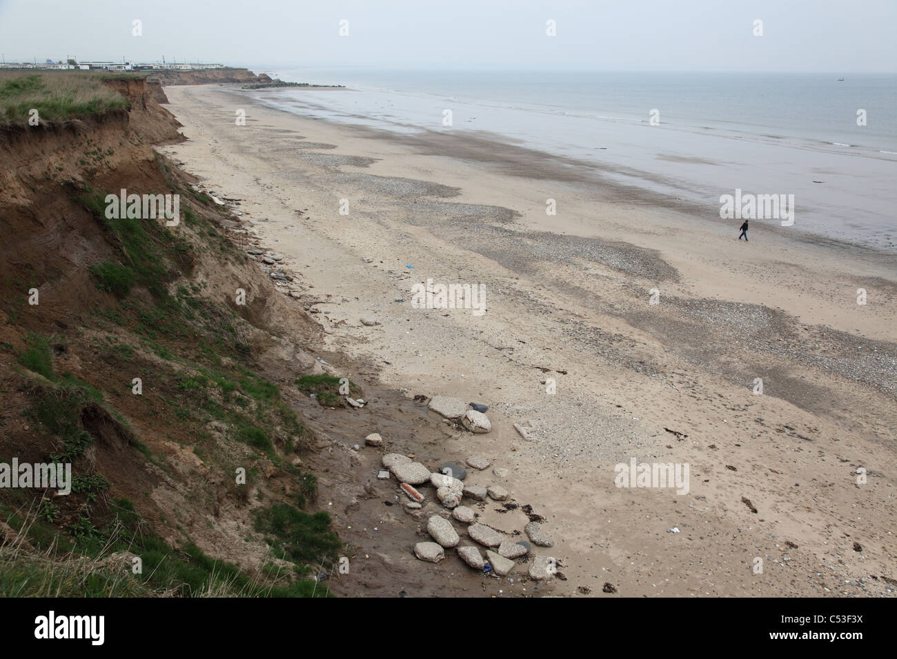 Ords visto su un east yorkshire beach Foto Stock