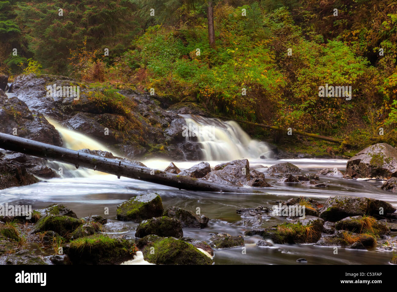 Vista panoramica di incubatoio Creek Falls, Principe di Galles isola, a sud-est di Alaska, Estate. HDR Foto Stock