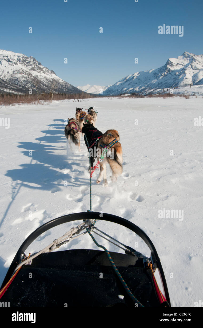 Vista dalla slitta mentre pastosità del cane fino la forcella del nord del fiume Koyukuk nei cancelli dell'Artico Parco Nazionale Foto Stock