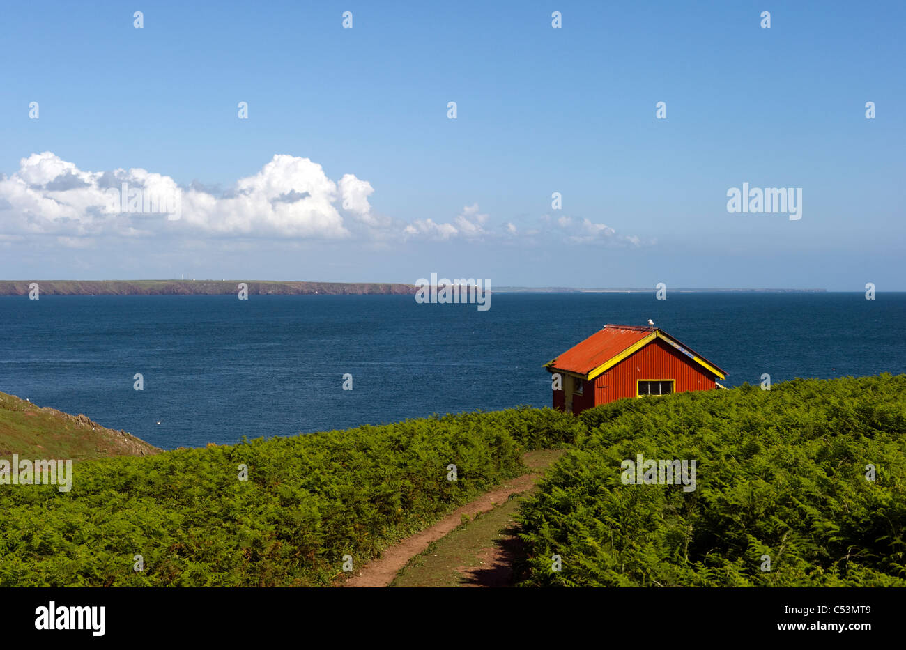 Un paesaggio lontano e seascape vista del Pembrokeshire Coast da Skokholm island Foto Stock