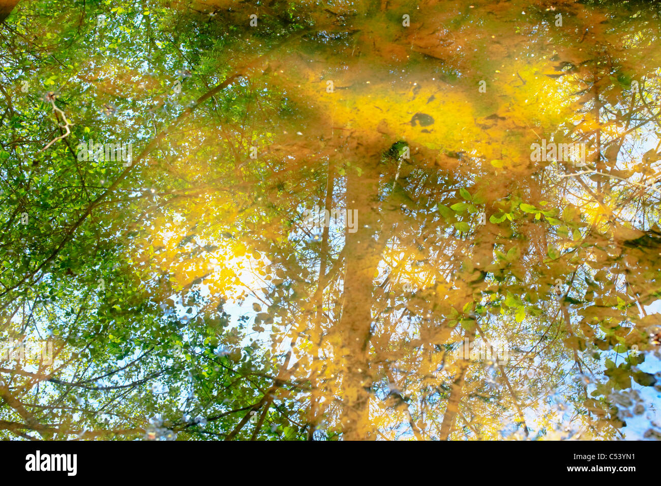 stagno salmastro Foto Stock