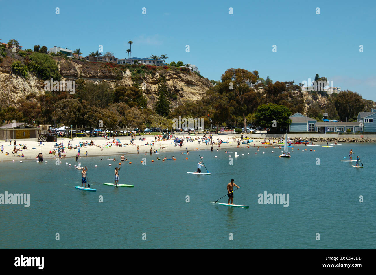 Stand up paddling in Dana Point Harbour, California, Stati Uniti d'America (giugno 2011) Foto Stock