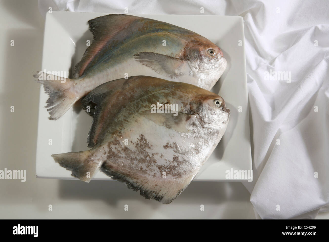 Due d'argento Pomfret su un piatto di portata Foto Stock