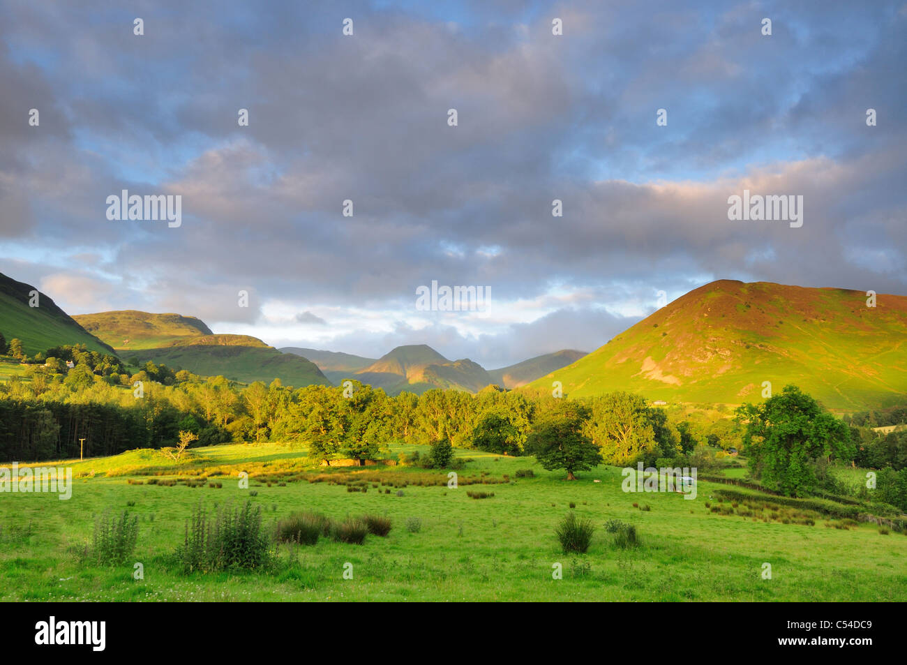 Derwent Fells e Newlands valle sotto il golden mattina di sole estivo nel Lake District inglese Foto Stock