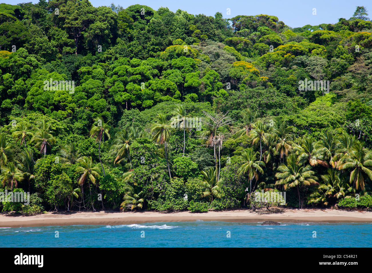 La foresta pluviale tropicale e spiaggia di Corcovado National Park Costa Rica Foto Stock