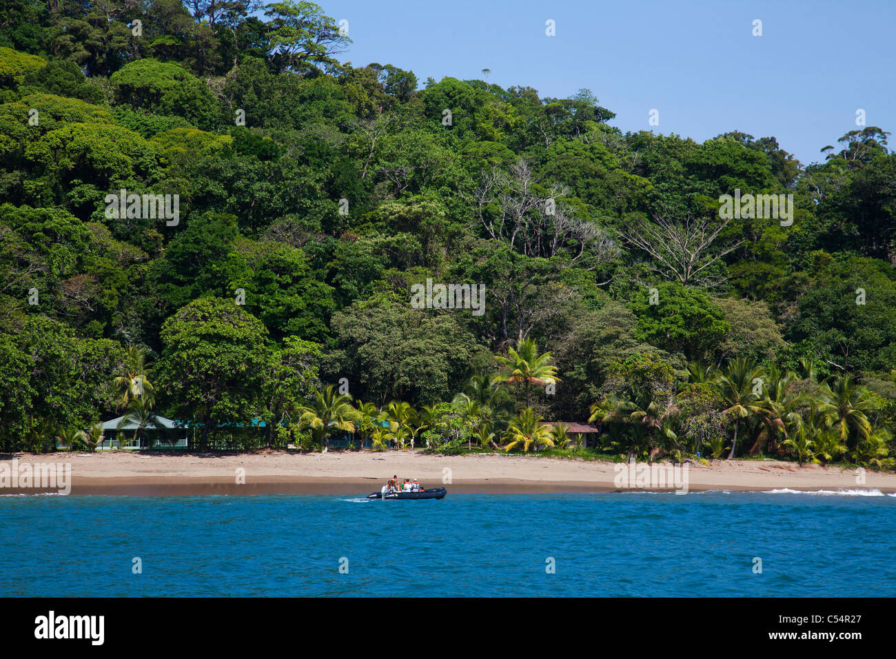 La foresta pluviale tropicale e spiaggia di Corcovado National Park Costa Rica Foto Stock