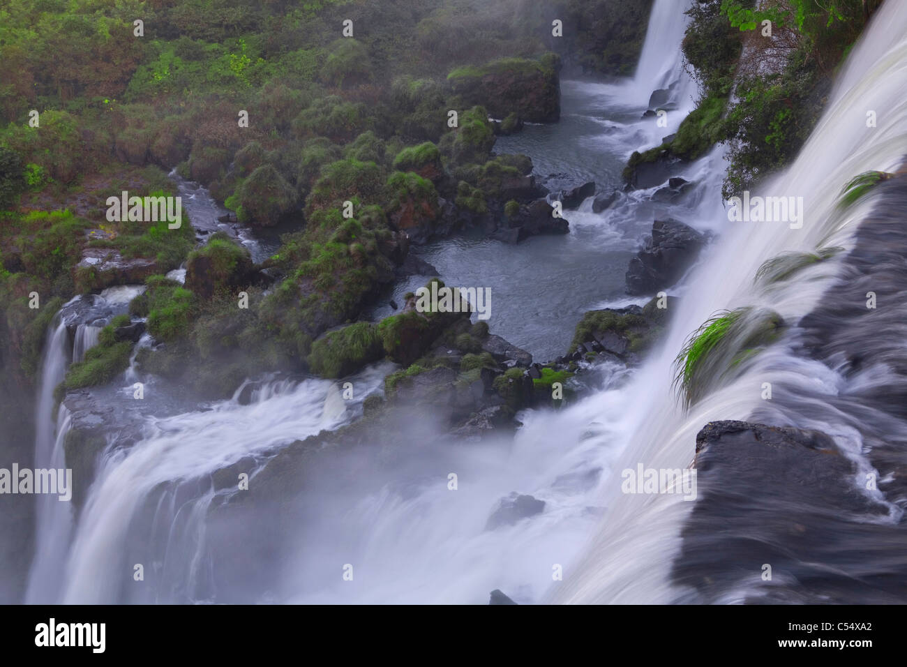 Cascate in una foresta, cascate Iguacu, Argentina-Brazil confine Foto Stock