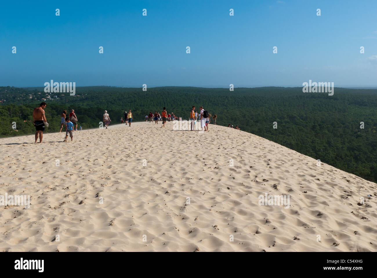Le dune di sabbia a Pyla in Francia sono i più grandi dune di sabbia in Europa Foto Stock