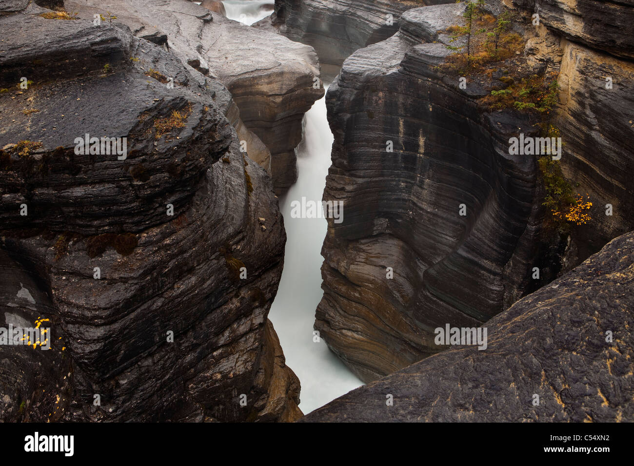 Il fiume che scorre attraverso una fessura canyon, Mistaya Canyon, il Parco Nazionale di Banff, Alberta, Canada Foto Stock