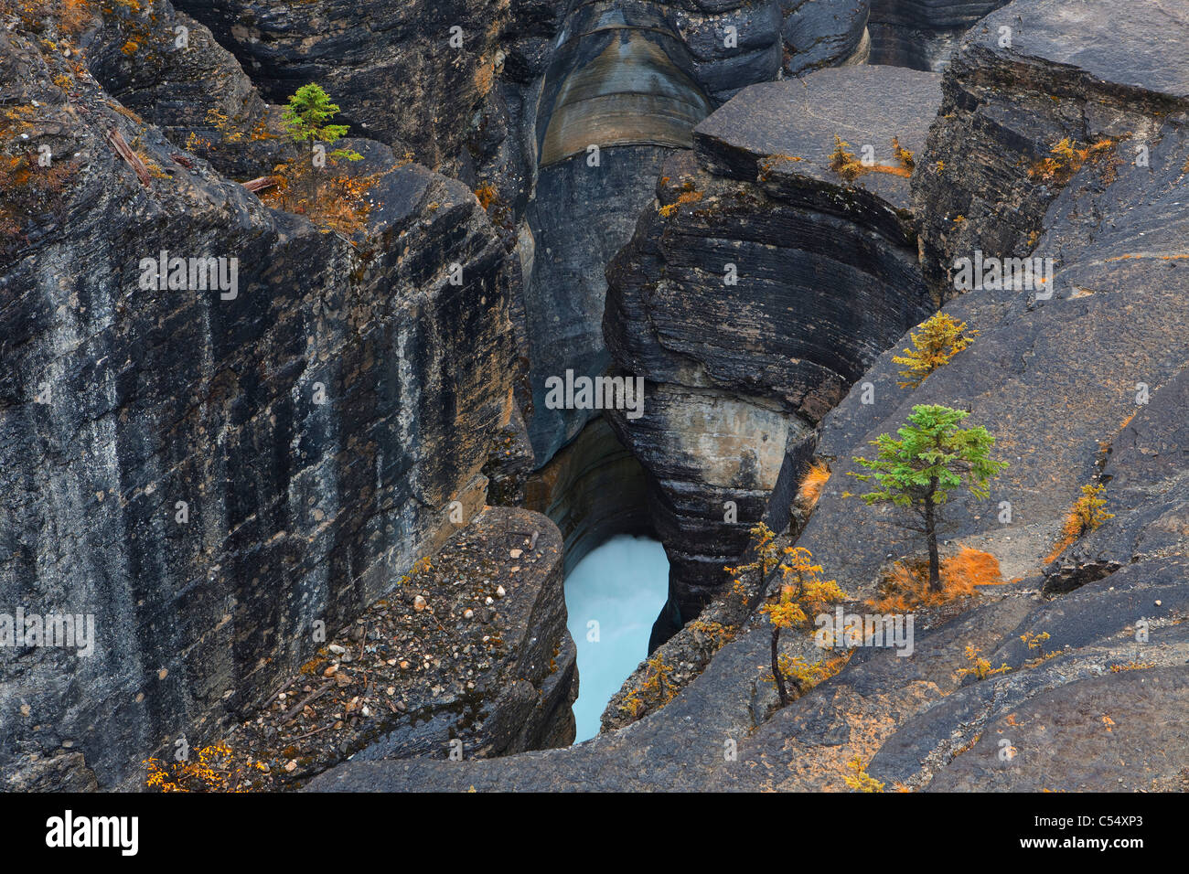 Il fiume che scorre attraverso una fessura canyon, Mistaya Canyon, il Parco Nazionale di Banff, Alberta, Canada Foto Stock
