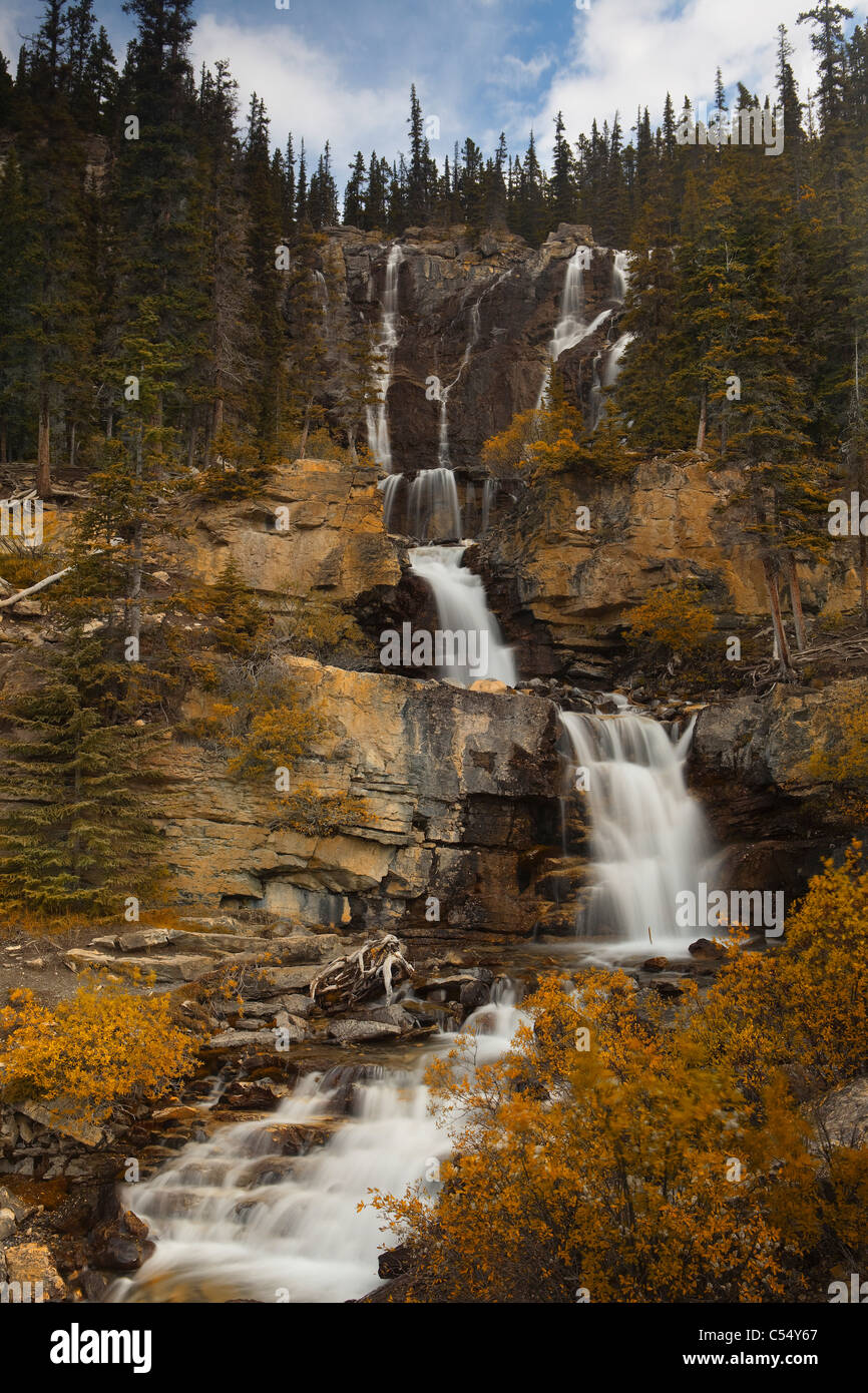 Cascata in una foresta, groviglio scende, il Parco Nazionale di Jasper, Alberta, Canada Foto Stock