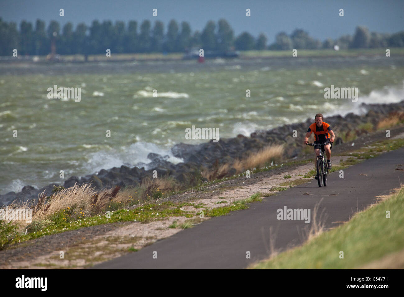 I Paesi Bassi, Rutten, ciclista sulla diga in tempesta. Chiamato lago IJsselmeer Foto Stock