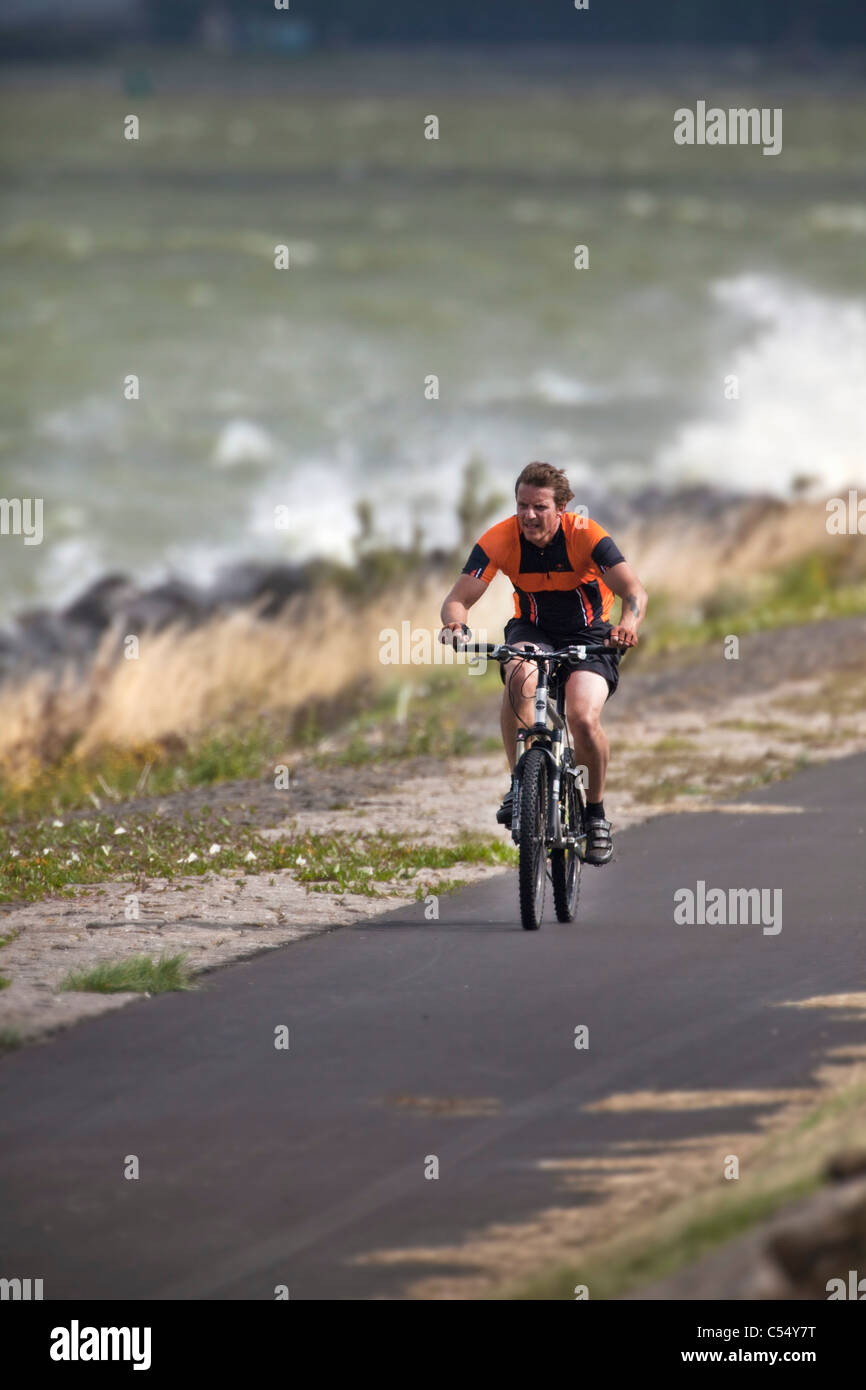 I Paesi Bassi, Rutten, ciclista sulla diga in tempesta. Lago chiamato: IJsselmeer Foto Stock