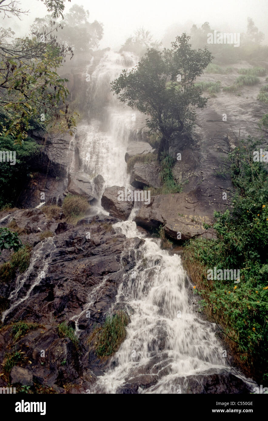 India, Tamil Nadu, Nilgiris, Coonoor, vista di aspetto lattiginoso acqua cade durante il monsone Foto Stock