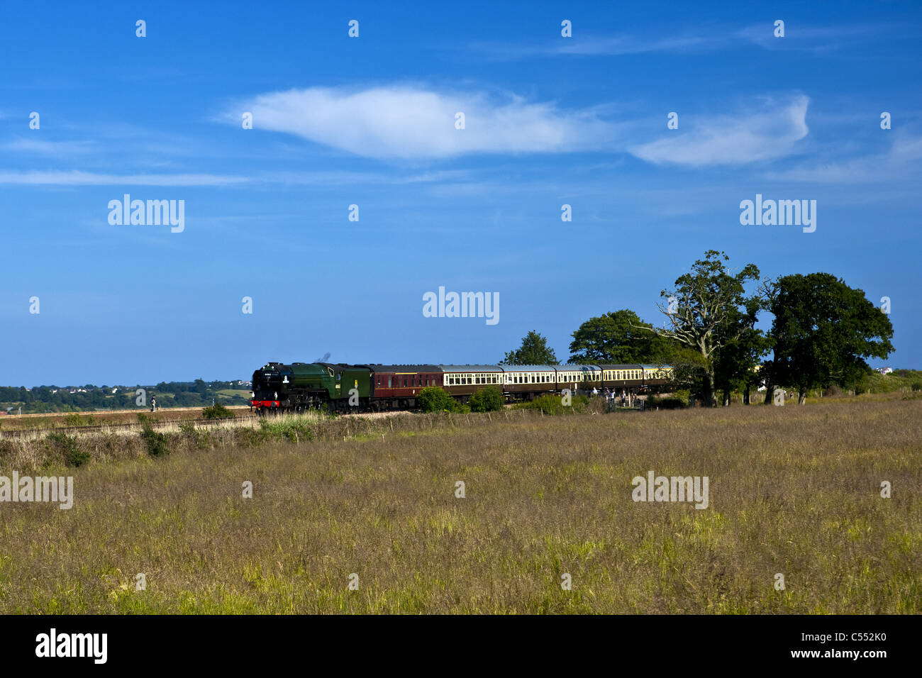 Torbay Express, voce lungo il fiume Exe. Foto Stock
